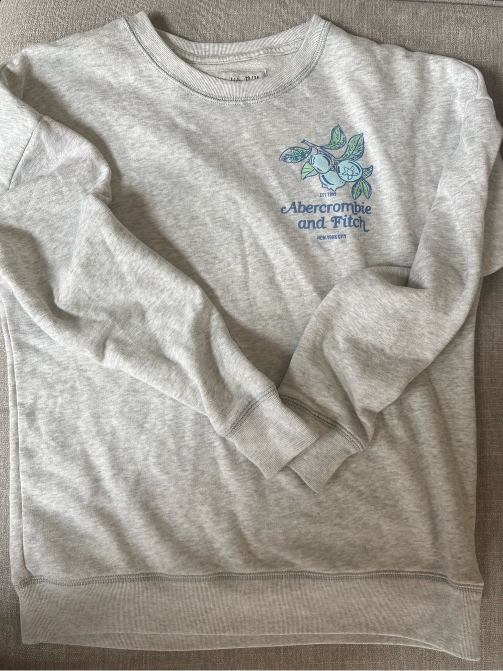 Abercrombie & Fitch Kids Light Gray Logo Crewneck Sweatshirt